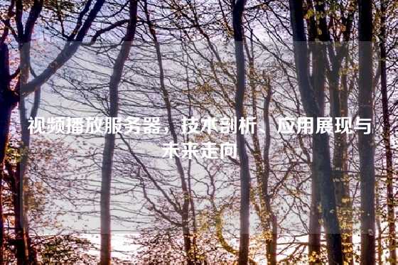 视频播放服务器，技术剖析、应用展现与未来走向