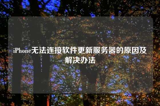 iPhone无法连接软件更新服务器的原因及解决办法