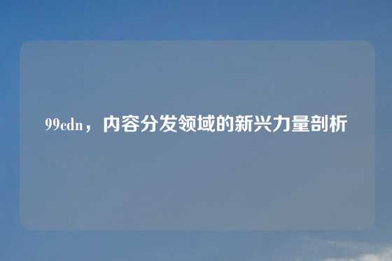 99cdn，内容分发领域的新兴力量剖析