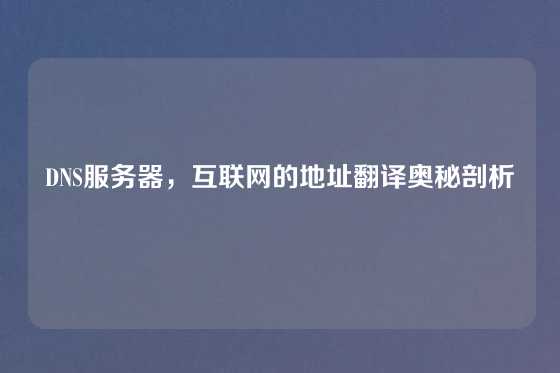 DNS服务器，互联网的地址翻译奥秘剖析