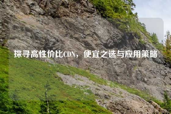 探寻高性价比CDN，便宜之选与应用策略