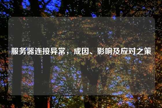 服务器连接异常，成因、影响及应对之策