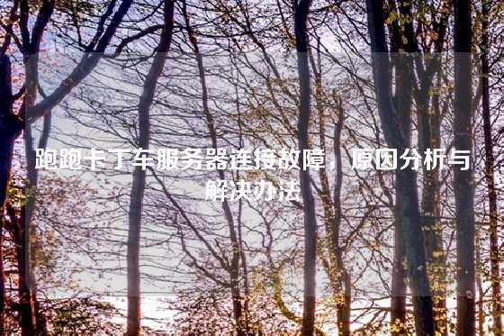 跑跑卡丁车服务器连接故障，原因分析与解决办法
