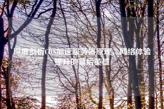 深度剖析CDN加速服务器原理，网络体验提升的幕后英雄