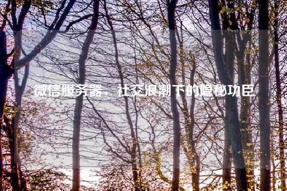 微信服务器，社交浪潮下的隐秘功臣