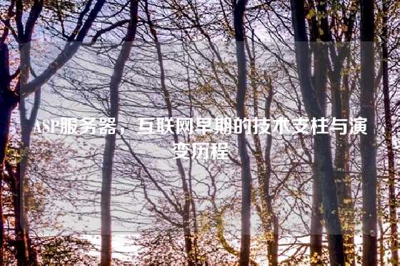ASP服务器，互联网早期的技术支柱与演变历程