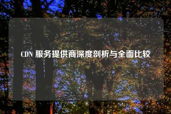 CDN 服务提供商深度剖析与全面比较