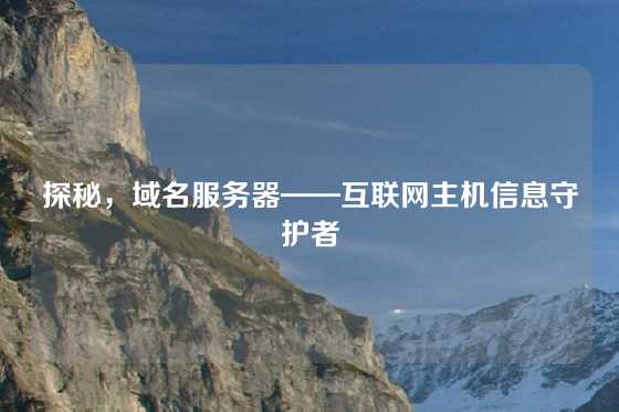 探秘，域名服务器——互联网主机信息守护者