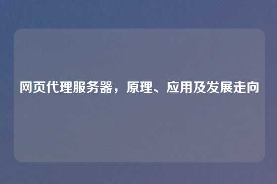 网页代理服务器，原理、应用及发展走向