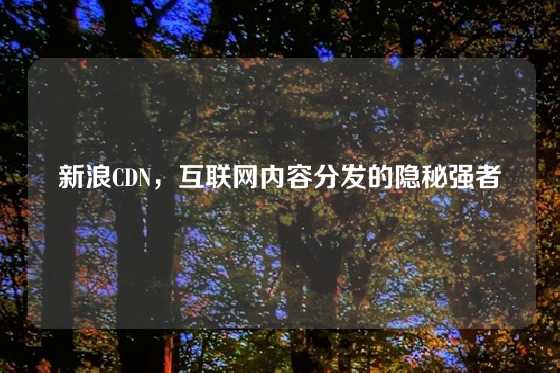 新浪CDN，互联网内容分发的隐秘强者
