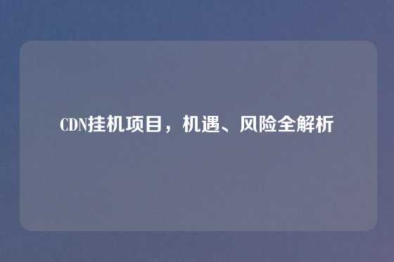 CDN挂机项目，机遇、风险全解析