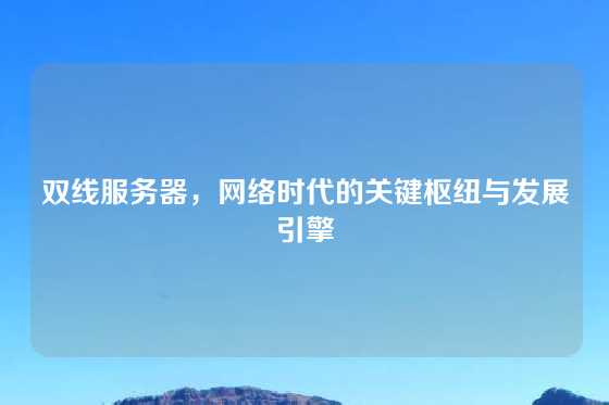 双线服务器，网络时代的关键枢纽与发展引擎