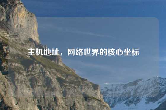 主机地址，网络世界的核心坐标