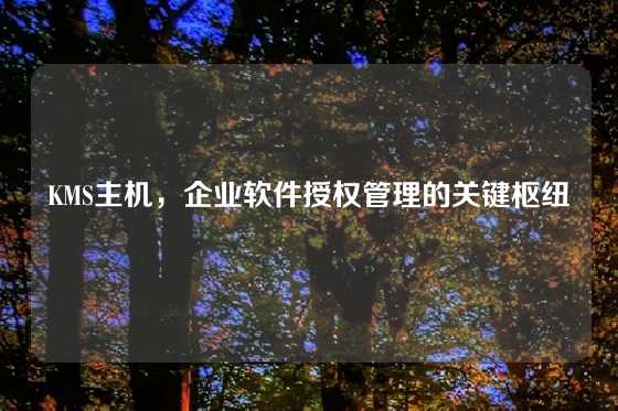 KMS主机，企业软件授权管理的关键枢纽