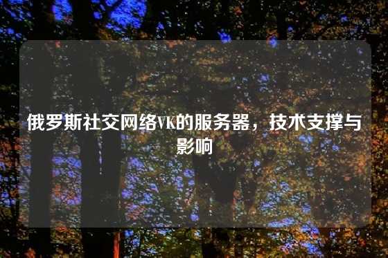 俄罗斯社交网络VK的服务器，技术支撑与影响