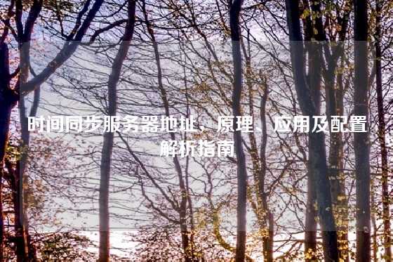时间同步服务器地址，原理、应用及配置解析指南