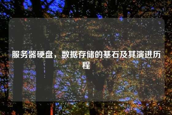 服务器硬盘，数据存储的基石及其演进历程