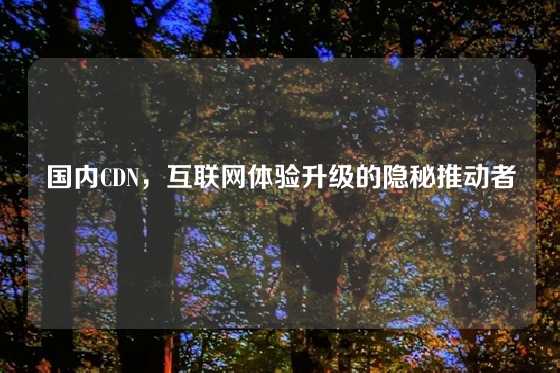 国内CDN，互联网体验升级的隐秘推动者