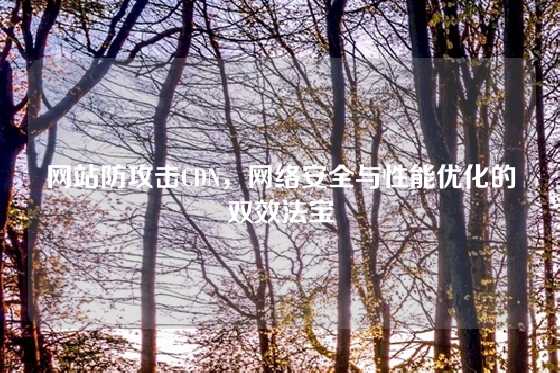 网站防攻击CDN，网络安全与性能优化的双效法宝