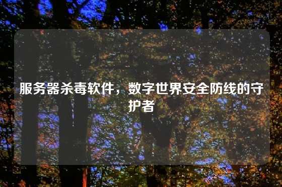 服务器杀毒软件，数字世界安全防线的守护者