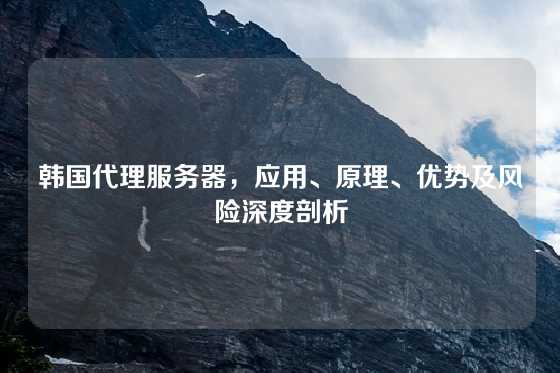 韩国代理服务器，应用、原理、优势及风险深度剖析