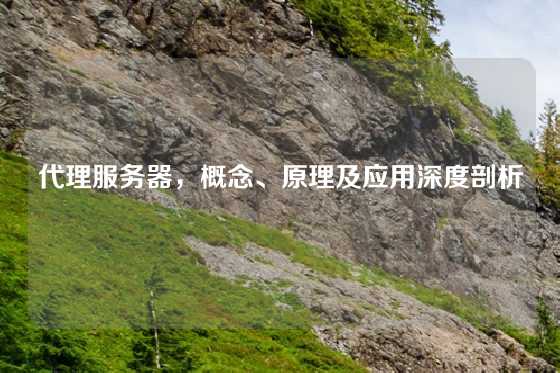 代理服务器，概念、原理及应用深度剖析