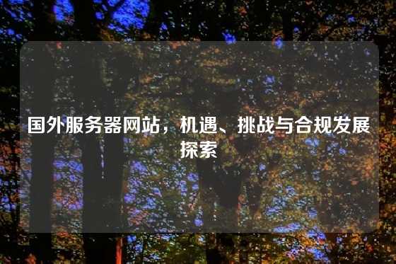 国外服务器网站，机遇、挑战与合规发展探索