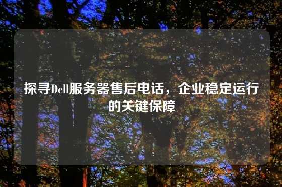 探寻Dell服务器售后电话，企业稳定运行的关键保障