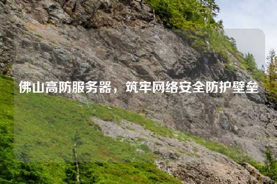 佛山高防服务器，筑牢网络安全防护壁垒
