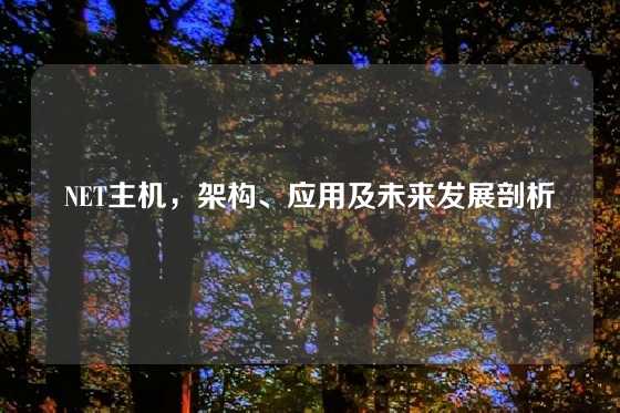 NET主机，架构、应用及未来发展剖析