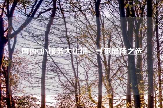 国内CDN服务大比拼，寻觅最佳之选