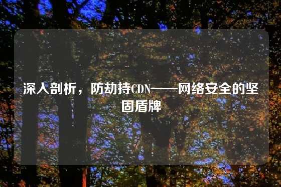 深入剖析，防劫持CDN——网络安全的坚固盾牌