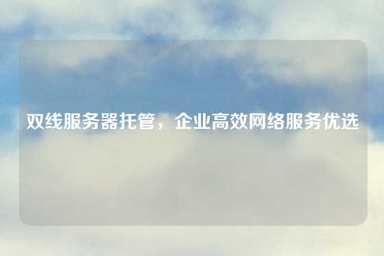 双线服务器托管，企业高效网络服务优选