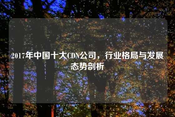 2017年中国十大CDN公司，行业格局与发展态势剖析