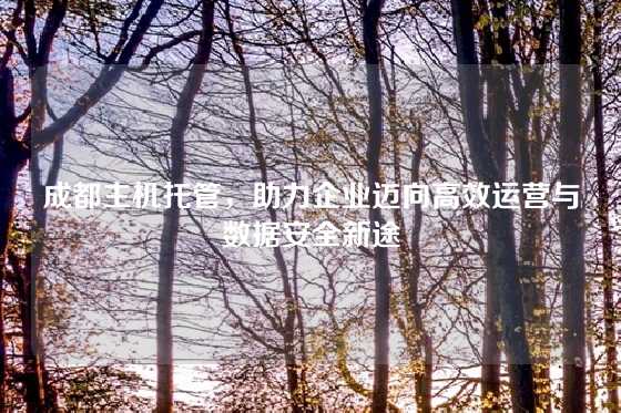 成都主机托管，助力企业迈向高效运营与数据安全新途