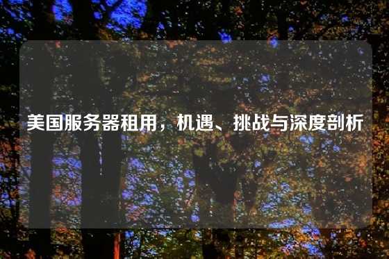 美国服务器租用，机遇、挑战与深度剖析