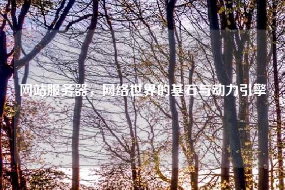 网站服务器，网络世界的基石与动力引擎