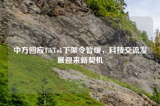 中方回应TikTok下架令暂缓，科技交流发展迎来新契机