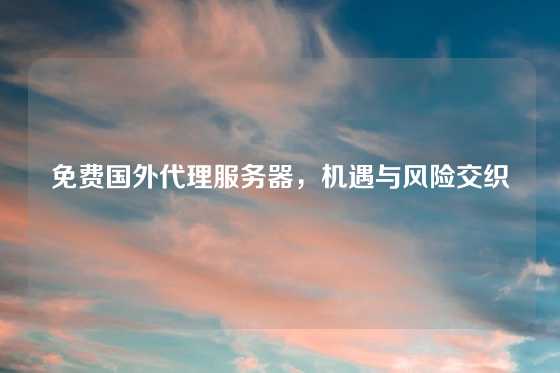 免费国外代理服务器，机遇与风险交织