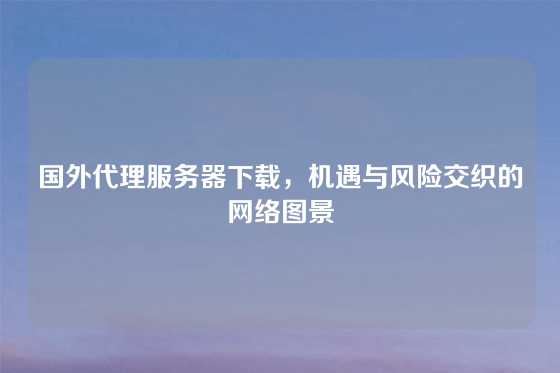 国外代理服务器下载，机遇与风险交织的网络图景
