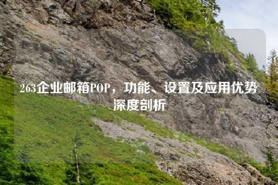 263企业邮箱POP，功能、设置及应用优势深度剖析