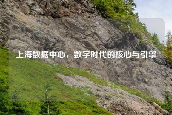 上海数据中心，数字时代的核心与引擎