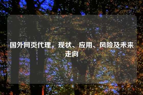 国外网页代理，现状、应用、风险及未来走向