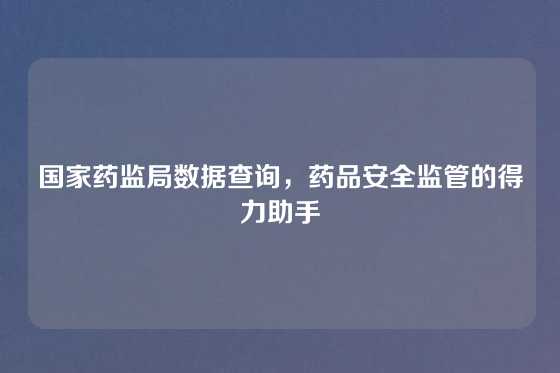 国家药监局数据查询，药品安全监管的得力助手