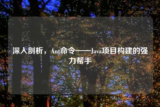 深入剖析，Ant命令——Java项目构建的强力帮手