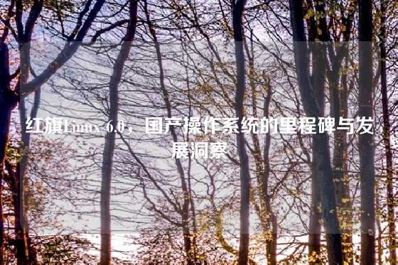 红旗Linux 6.0，国产操作系统的里程碑与发展洞察