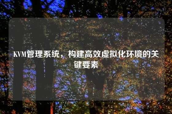 KVM管理系统，构建高效虚拟化环境的关键要素