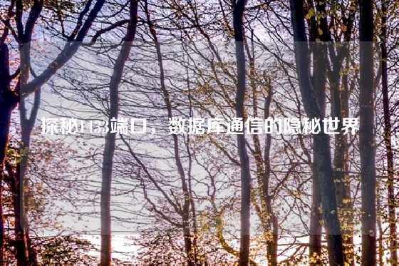 探秘1433端口，数据库通信的隐秘世界