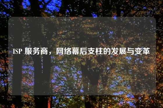 ISP 服务商，网络幕后支柱的发展与变革