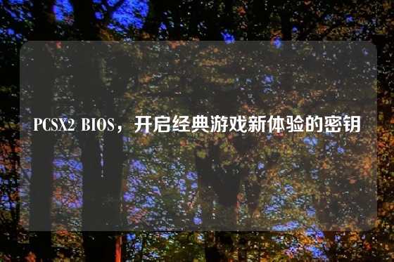 PCSX2 BIOS，开启经典游戏新体验的密钥